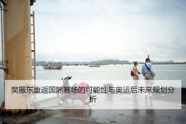 樊振东重返国际赛场的可能性与奥运后未来规划分析