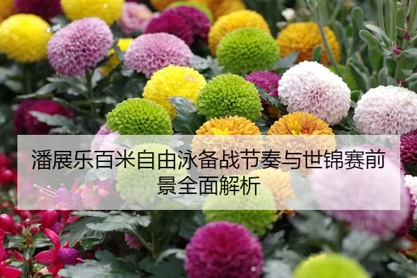 潘展乐百米自由泳备战节奏与世锦赛前景全面解析