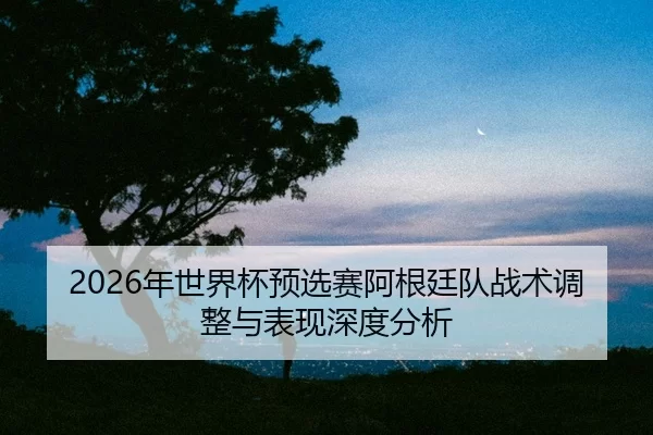 nian-shi-jie-bei-yu-xuan-sai-a-gen-ting-dui-zhan-shu-tiao-zheng-yu-biao-xian-shen-du-fen-xi-2-899.jpg