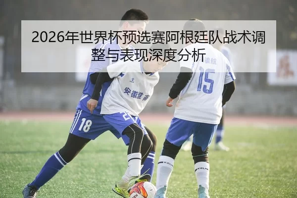 2026年世界杯预选赛阿根廷队战术调整与表现深度分析