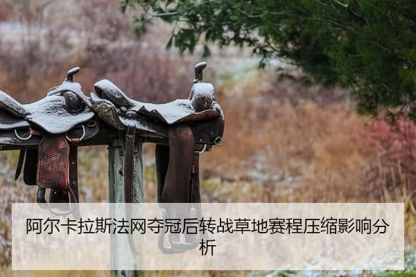 a-er-ka-la-si-fa-wang-duo-guan-hou-zhuan-zhan-cao-di-sai-cheng-ya-suo-ying-xiang-fen-xi-2-488.jpg