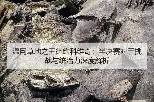 温网草地之王德约科维奇：半决赛对手挑战与统治力深度解析（6686.com）
