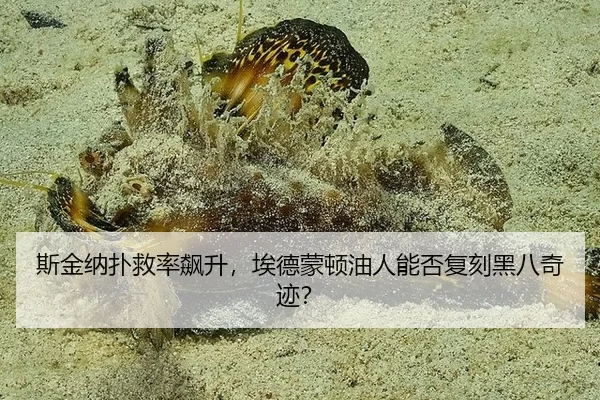 si-jin-na-pu-jiu-lv-biao-sheng-ai-de-meng-dun-you-ren-neng-fou-fu-ke-hei-ba-qi-ji-3-333.jpg