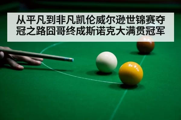 从平凡到非凡凯伦威尔逊世锦赛夺冠之路囧哥终成斯诺克大满贯冠军（6686.com）